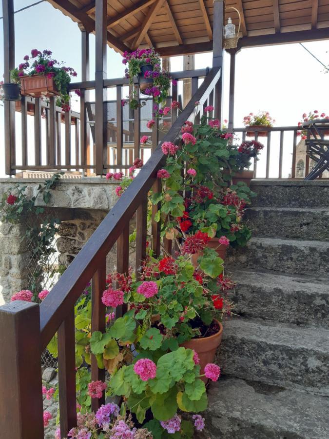 Rebordainhos Casa Do Pelourinhoヴィラ エクステリア 写真